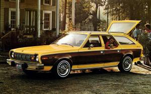 AMC Hornet 4-Door Station Wagon Sportabout D/L Pkg. (7608-7) '1975 - 76